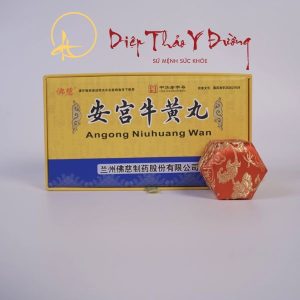 AN CUNG NGƯU HOÀNG HOÀN - PHẬT TỬ