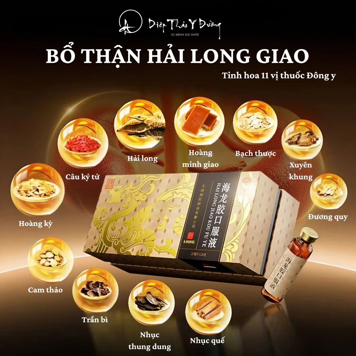 hai long giao (1050 x 1050 px) (3)