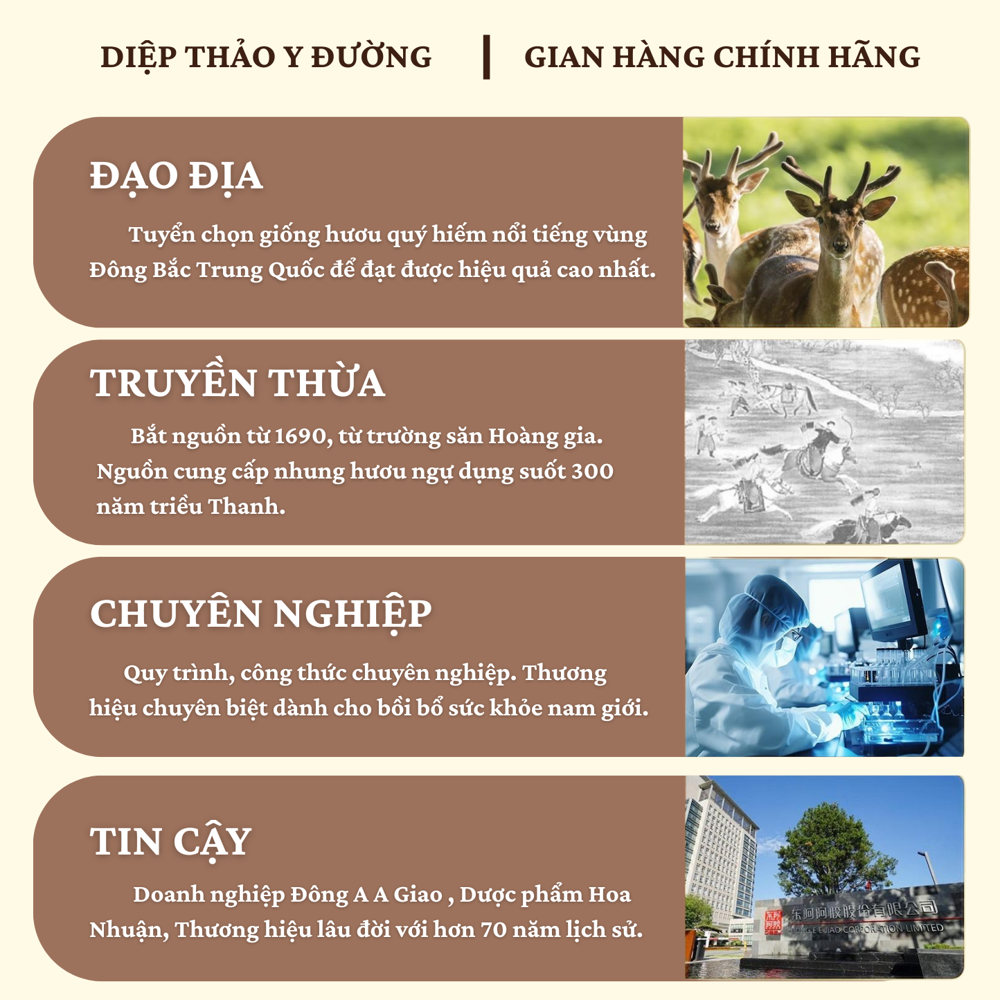 hai long giao (1050 x 1050 px) (4)